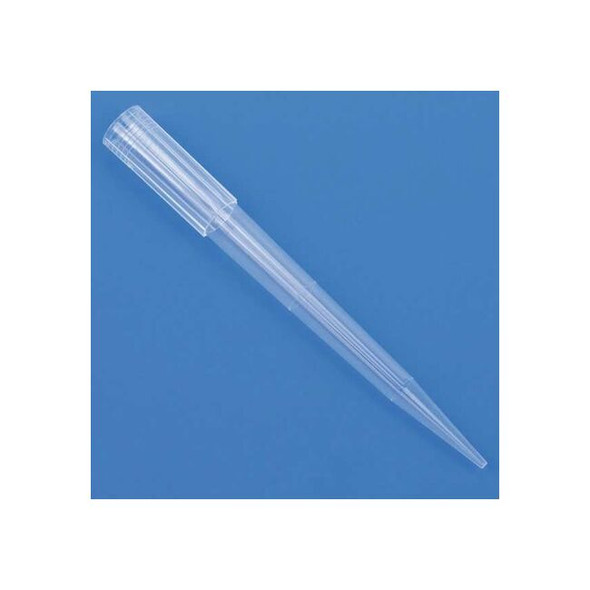 Globe Scientific Pipette Tip,100 to 1250uL,84mm H,PK1000 150053