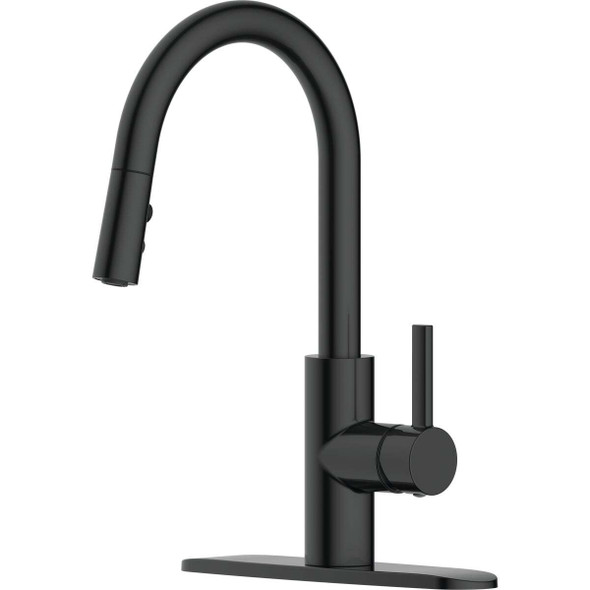 Style Built Heritage 1-Handle Kitchen Faucet, Matte Black 121010220095