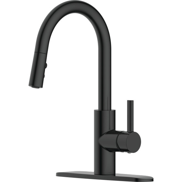 Style Built Heritage 1-Handle Kitchen Faucet, Matte Black 121010220095