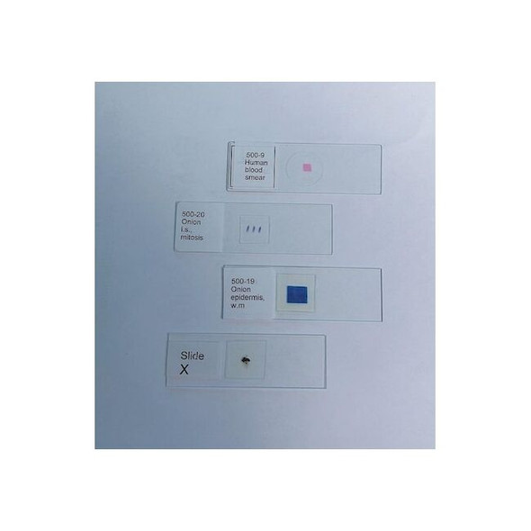 United Scientific Letter "E 100-01 Pack of 4