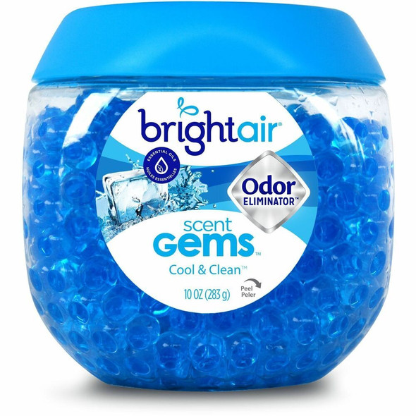 Bright Air  Air Freshener 901339CT