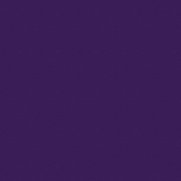 Rust-Oleum Spray Paint, Purple, Gloss, Solvent, 12 oz 257399