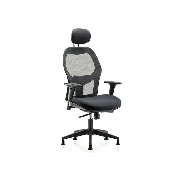 Executive Mesh Chair,Headrest,AA,Glides