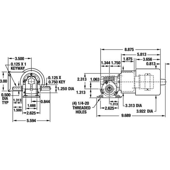 Dayton AC Gearmotor,TEFC,54RPM,115-230V AC 1L535