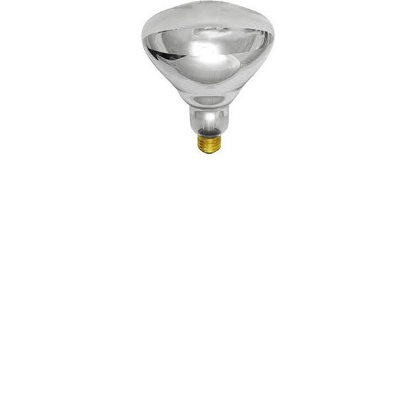 250R40/CL TEFLON 250W R40 Incandescent