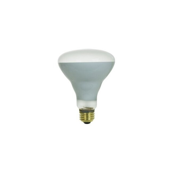 65BR30/FL 120V 5000 Hour 65W Incandescent BR30 Flood