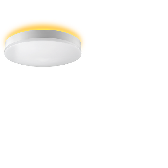 ETI 56549102 16" Color Preference LED Flushmount with Nightlight 22W ***DISCONTINUED***