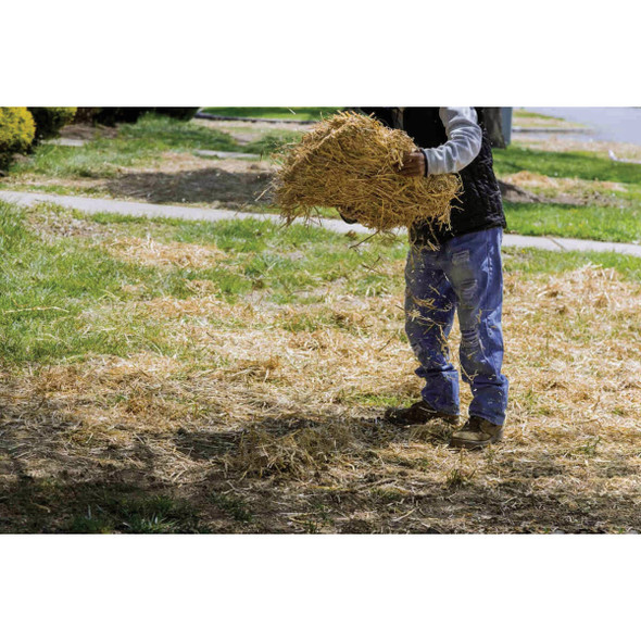 Blue Mountain Hay 50 Lb. Compressed Wheat Straw Bale UWS-50LB 705961