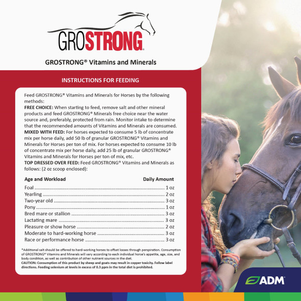GroStrong 5 Lb. Horse Mineral 641AAA1U 723625