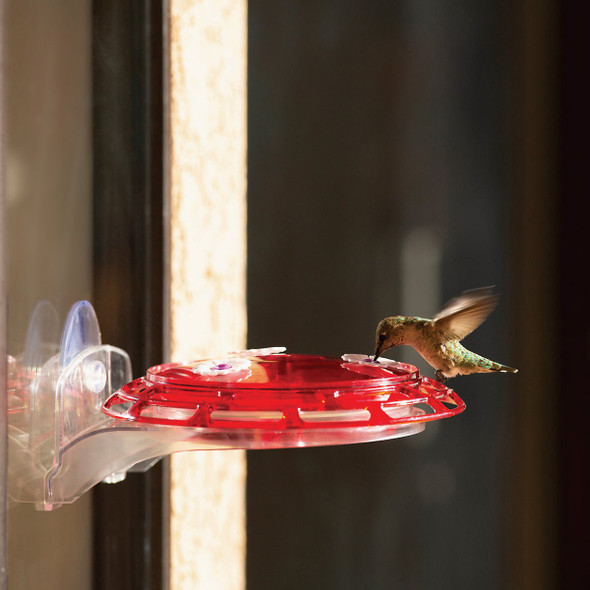 More Birds 3-in-1 6 Oz. Hummingbird Feeder 30-3N1 855526