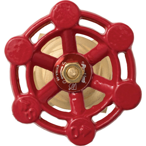 ProLine 2 In. FIP x 2 In. FIP Compact Pattern Brass Gate Valve 100-408HC 425769