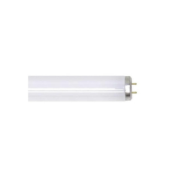 Fluorescent Linear Lamp, T12, Cool, 4100K, 34 W, G13 Pack of 30