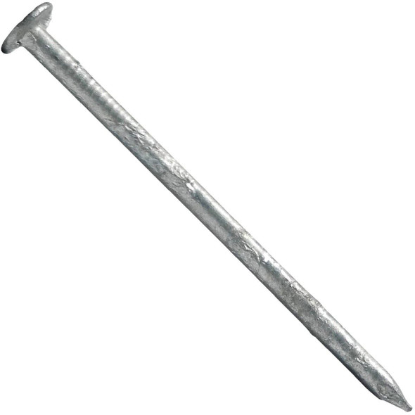 CEM8530 Maze Stormguard 2-1/2 In. Hot Dipped Galvanized Siding Nails (645 Ct., 1 Lb.)