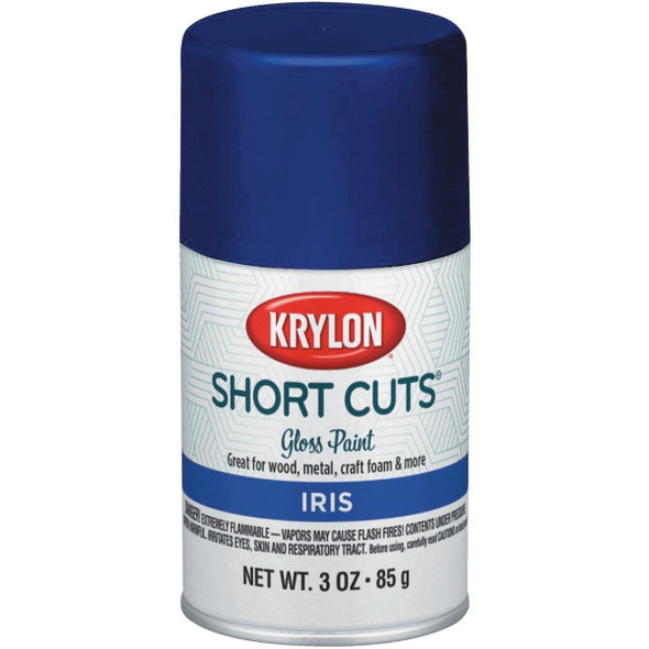 SCS-074 Krylon Short Cuts 3 Oz. High-Gloss Enamel Spray Paint, Iris