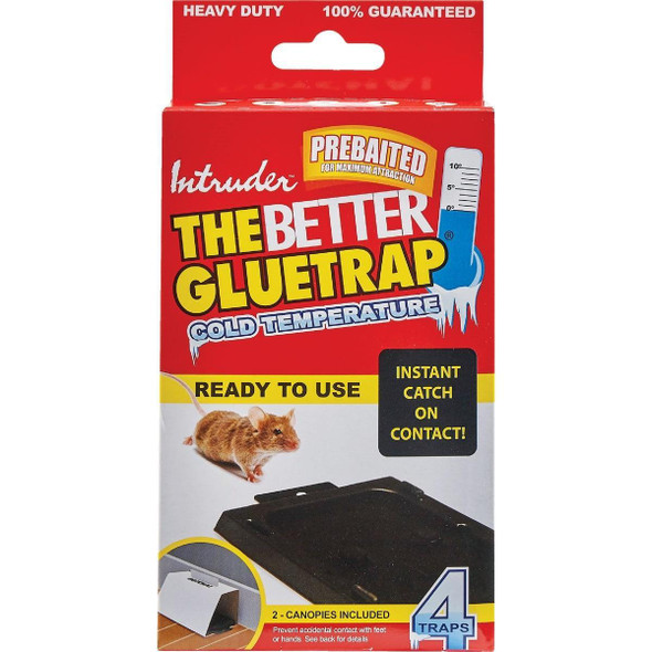 17505 Intruder The Better Glue Trap Cold Temperature Mouse Trap (4-Pack)