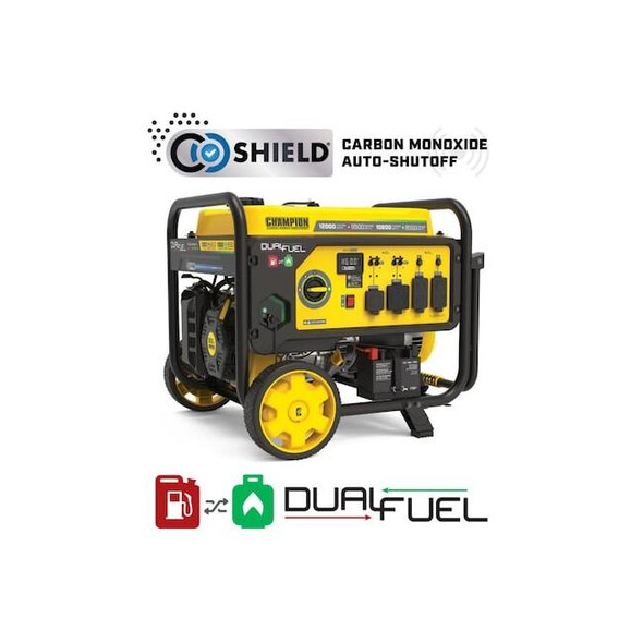 Portable Generator, Gasoline/Propane, Electric, Recoil Start, 120/240V AC