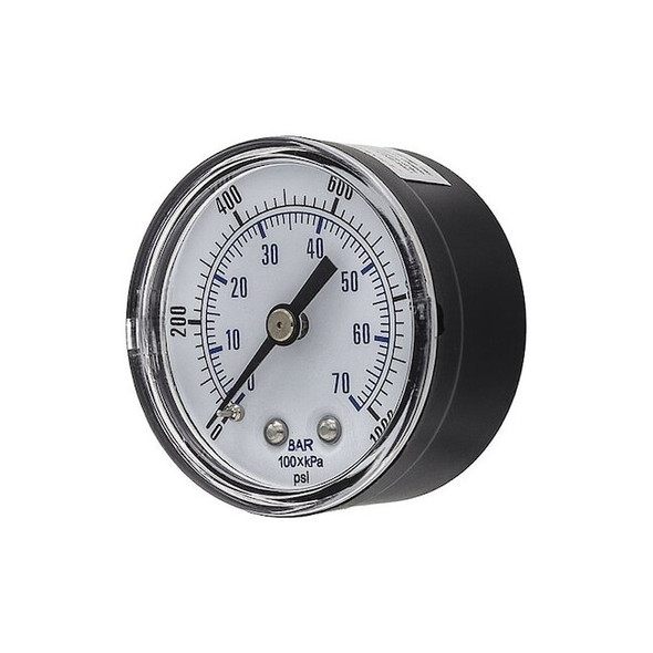 Pic Gauges SEP-102D-204M-BSPT