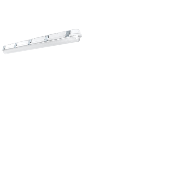 RAB SHARK4-50W/D10 4' 50W Linear LED Washdown Fixture IP66