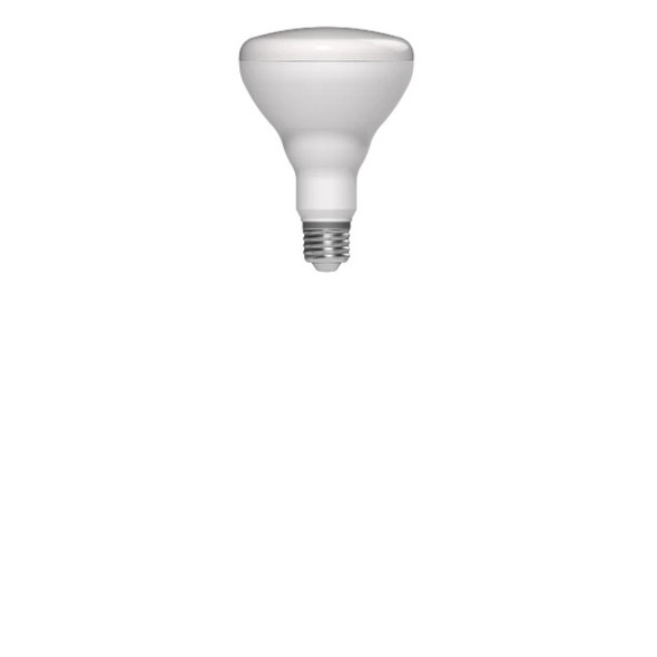 RAB Lighting LCBBR30-7-E26-9RGB-SS LightCloud Blue RGBW Dimmable LED BR30 7W 90CRI
