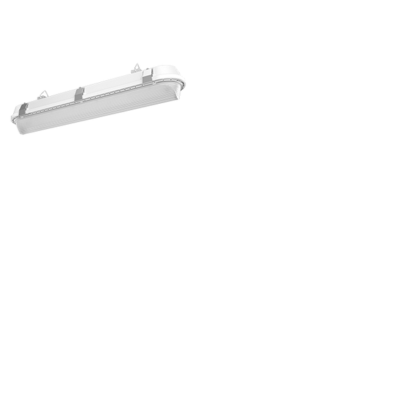 RAB SHARK2-18W/D10 2' 18W Linear LED Washdown Fixture IP66