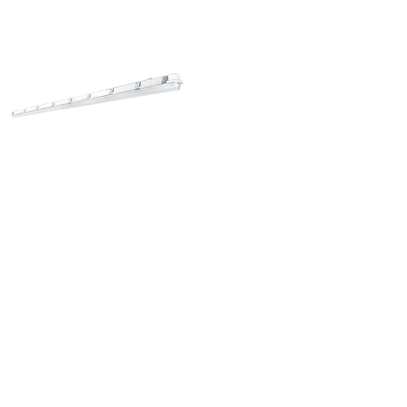 RAB SHARK8-100W/D10 8' 100W Linear LED Washdown Fixture IP66
