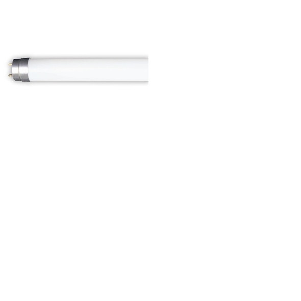 TCP LT812C50K Type C 4' LED T8 $6.83 12W 5000K 25/Case
