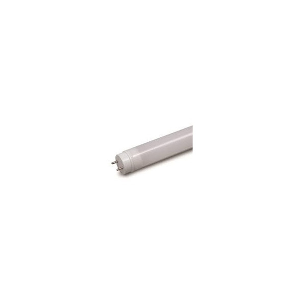 GE 36439 LEDT8/LC/2/835 2' 3500K LumenChoice Plastic Type C LED T8 - 20/Case