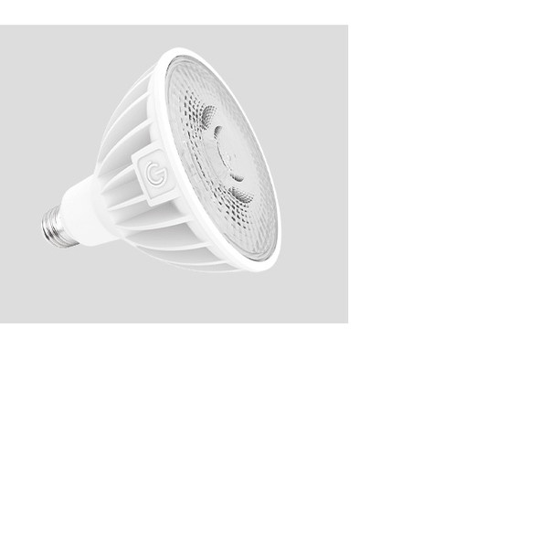 Green Creative 30PAR38HODIM/940FL40/277V 35533 30W LED PAR38 40° 4000K