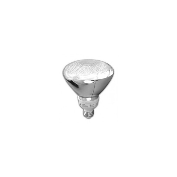 TCP 2P3819-27 19 Watt CFL PAR38 Flood Light