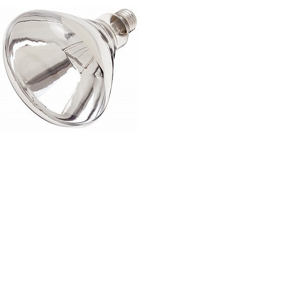 Satco S4999 250BR40/1/CL Heat Incandescent Flood R40 Lamp