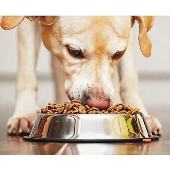 Spot 64 Oz. Mirror Finish No-Tip Stainless Steel Dog Dish 6038 747401
