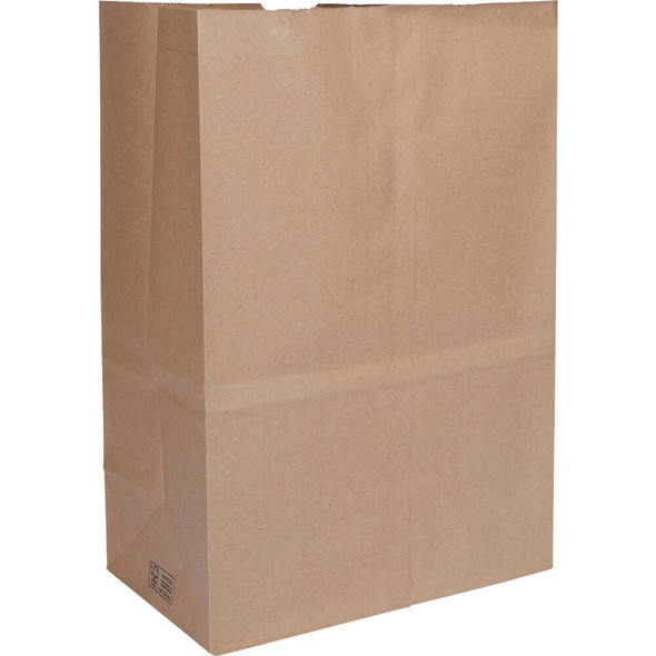 Do it Best 70 Lb. Capacity Paper Shopping Bag (400-Pack) 90074 853733
