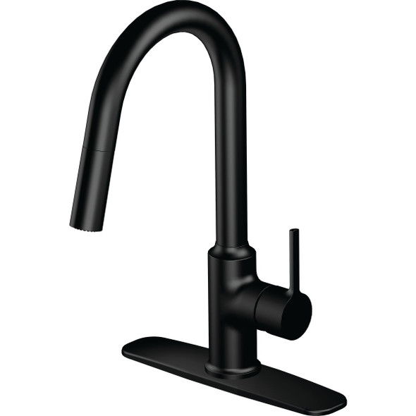 Home Impressions 1h Mb Kit Plldwn Faucet FP4AF272BL-JPA9