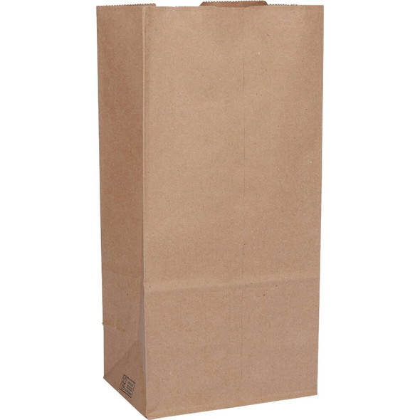 Do it Best 10 Lb. Capacity Paper Shopping Bag (400-Pack) 90072 990182