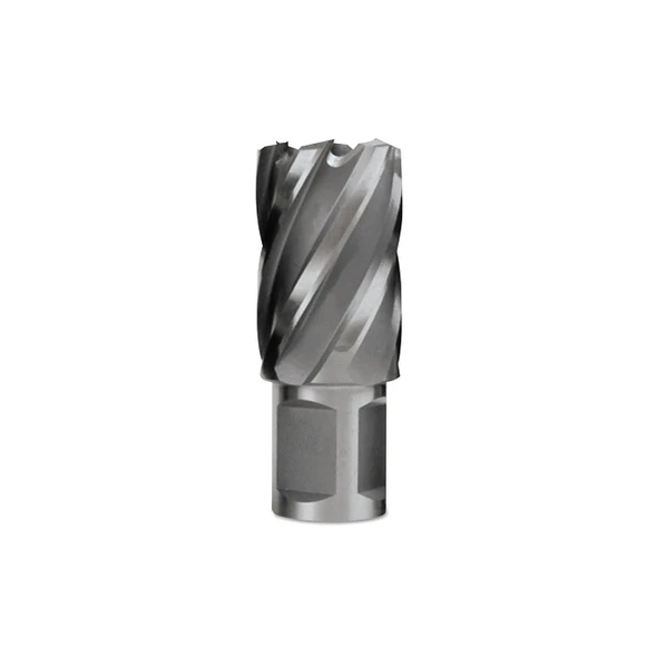 Cyclone HSS Premium Grade Annular Cutter, 1 in dia x 2 in Depth, 3/4 in Weldon Shank, Includes Pilot Pin