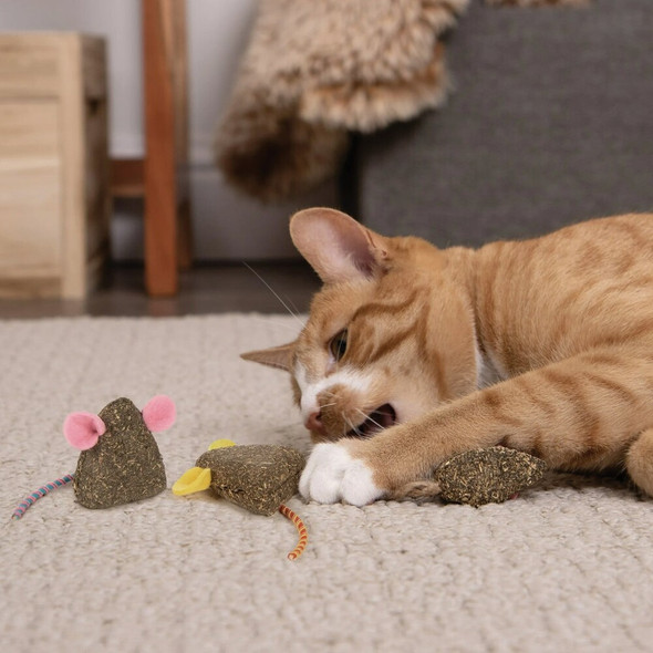 SmartyKat Mousy Mayhem Compressed Catnip Mice Cat Toy (2-Pack) 32202-99997-024 756766