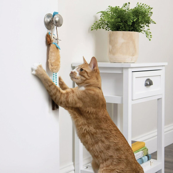SmartyKat Loopy Lion Door Hanging Breakaway Kicker Catnip Cat Toy 32203-99997-024 757761