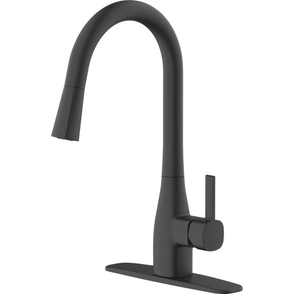 Home Impressions 1-Handle Pull-Down Kitchen Faucet, Matte Black FP4AF316BL-JPA1