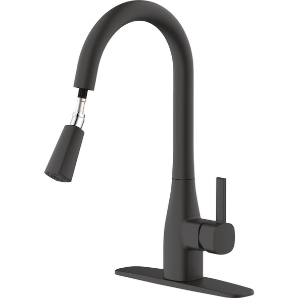 Home Impressions 1-Handle Pull-Down Kitchen Faucet, Matte Black FP4AF316BL-JPA1 492098