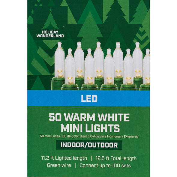 Holiday Wonderland  Warm White 50-Bulb Mini LED String Light Set KT-I50-45 947135
