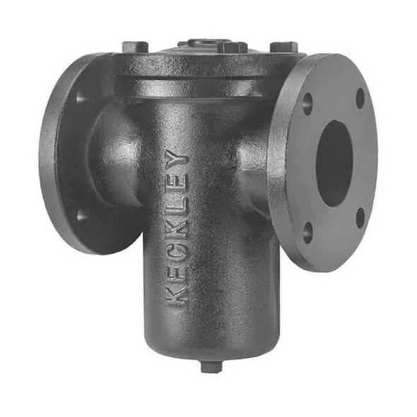 Keckley Basket Strainer, 2" Pipe, Flanged, Cast iron 21FFS-CI125P34-FBI-GFV