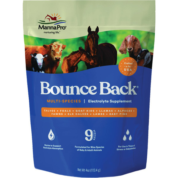 Manna Pro Bounce Back 4 Oz. Multi-Species Electrolyte Supplement 1000352