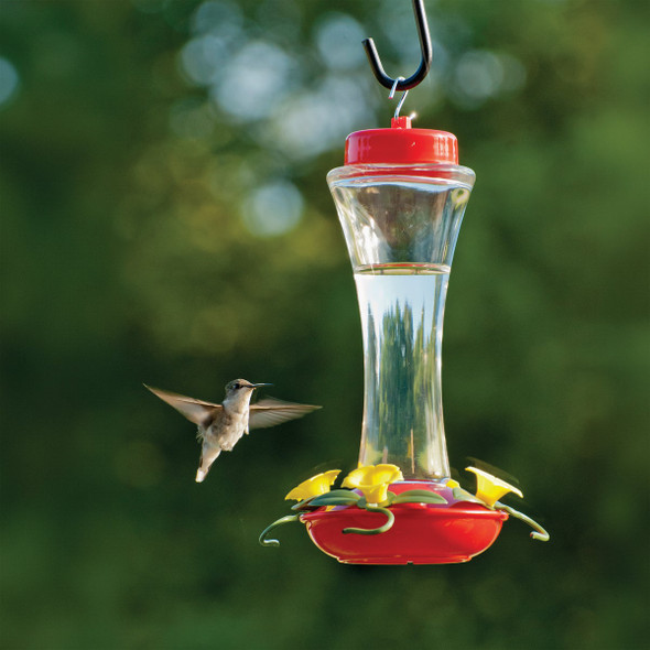Audubon 16 Oz. Clear Swirl Glass 4-Perch Hummingbird Feeder 24109 836475