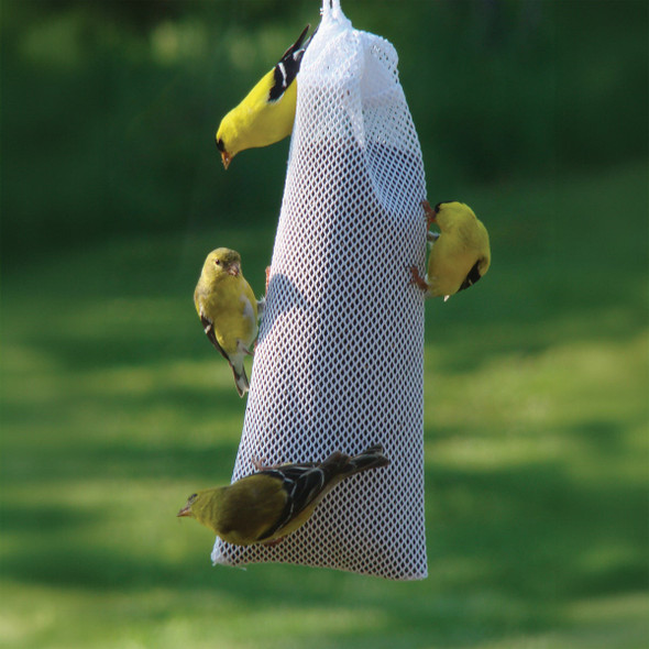 Panacea Heavy-Duty Nyjer Thistle Sock Bird Feeder 24212 863833