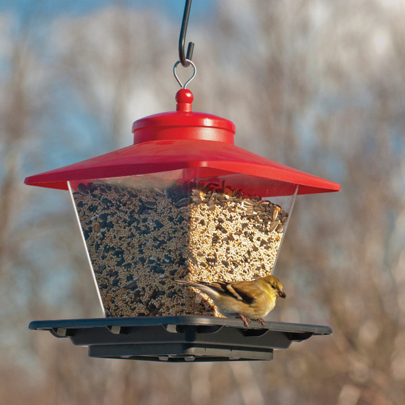 Panacea Caf Seed Bird Feeder 23955 864439