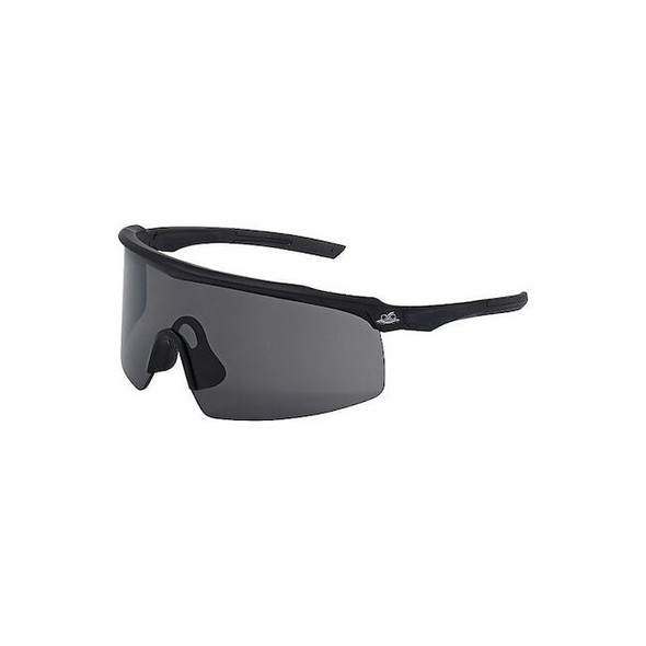 Globus Safety Glasses,Black,Gray BH3263AF
