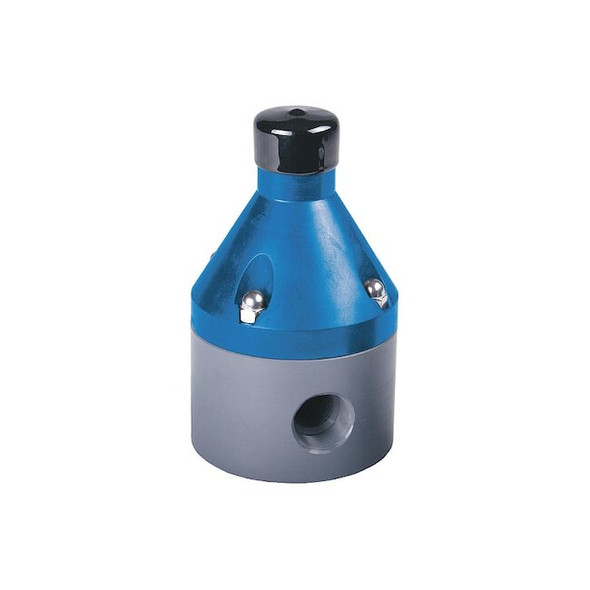 Relief Valve, 1/4", CPVC/TFE/EPDM, Adjustable 10-150 psi, FPT