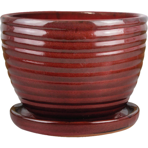 Trendspot 6 In. Red Honey Jar Planter CR10479-05D