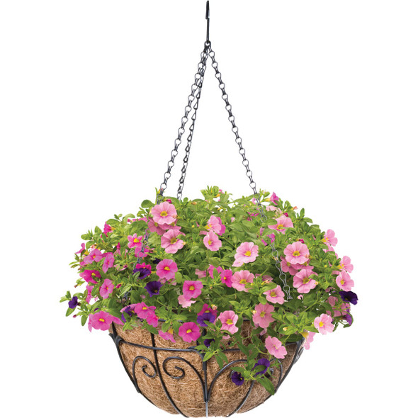 Green Thumb 14 In. Black Finial Hanging Plant Basket 88512GT