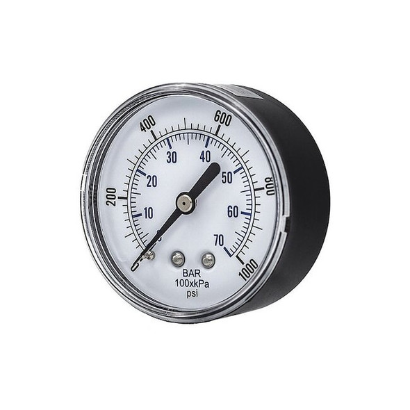 Pic Gauges SEP-102D-254M-BSPT